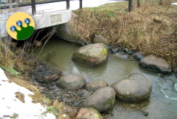 Ende der Fischtreppe in ;einersen