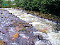 Fischtreppe bei Oker