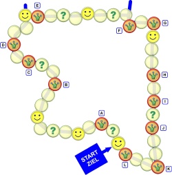 Spielplan